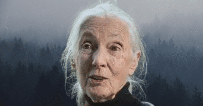 Jane Goodall death